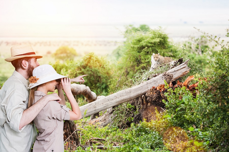 Specialist Walking Safari