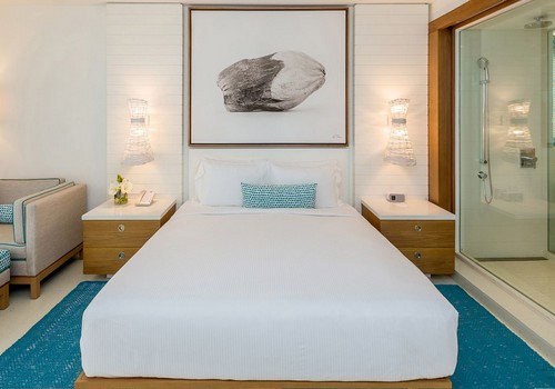 Partial Ocean View King