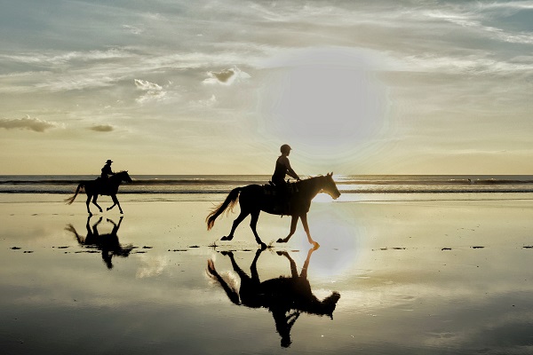 Horse Riding in False Bay