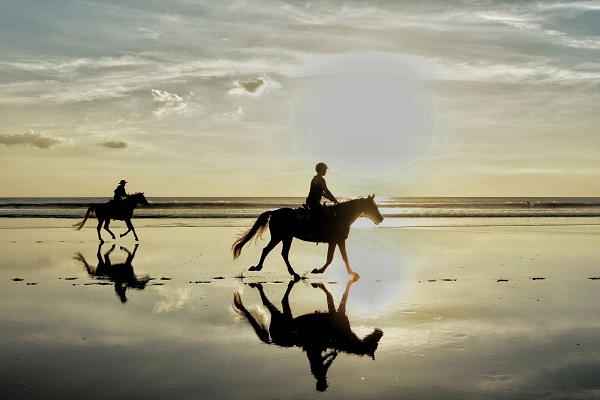 Beach Horse Riding