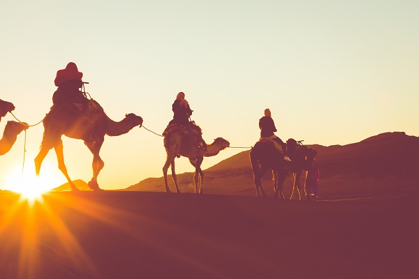 Camel Riding