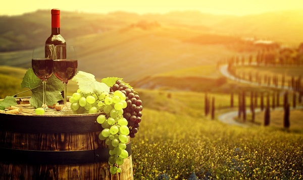 Tuscan Wine and Dine Tours