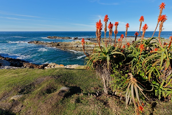 Garden Route National