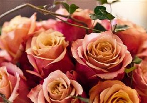 The Presidential Suite