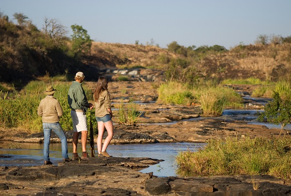 Black Rhino Tracking on Foot