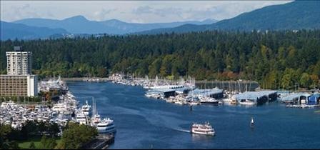 Stanley Park View Suite