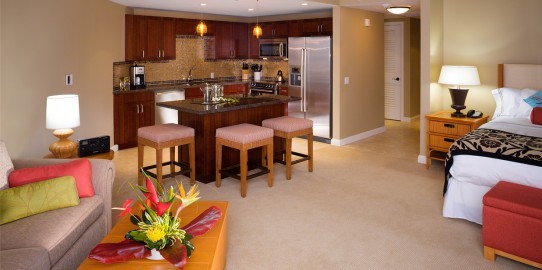 Studio Suite