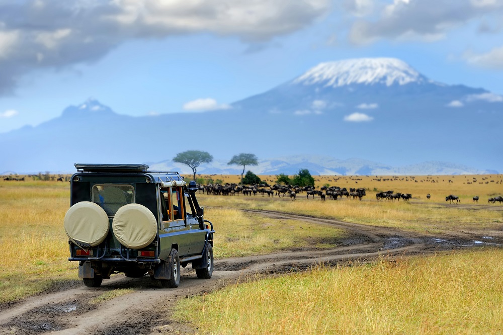 The Maasai Mara, Kenya and The Serengeti, Tanzania