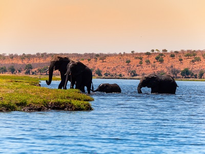 Day 7 - Warm Hospitality and Wildlife await in Chobe!