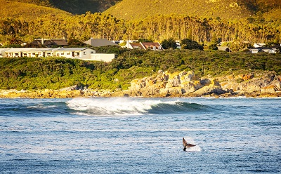 Hermanus