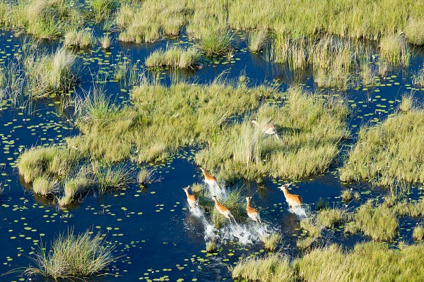 Okavango Horseback Safari