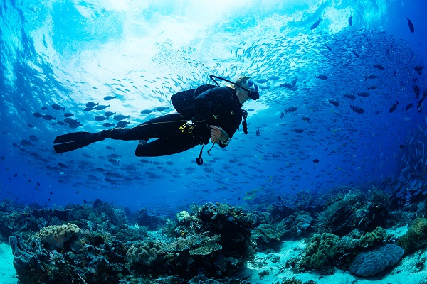 Discover Scuba Diving course