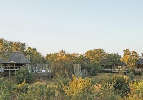 Thornybush Simbambili Game Lodge