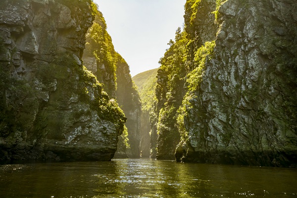 Tsitsikamma National Park