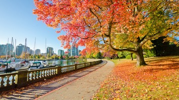 Vancouver Park
