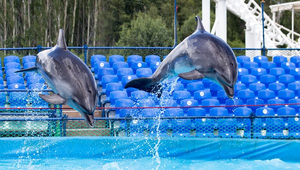 uShaka Marine World