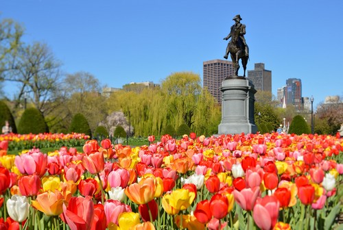 Boston Common