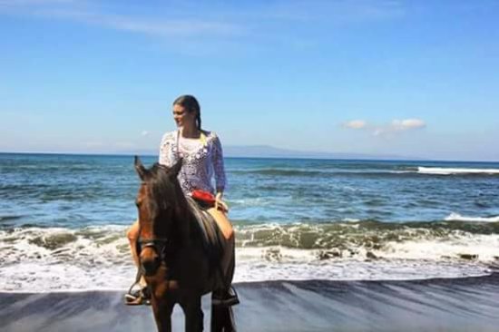 Horseback Riding on Saba Beach