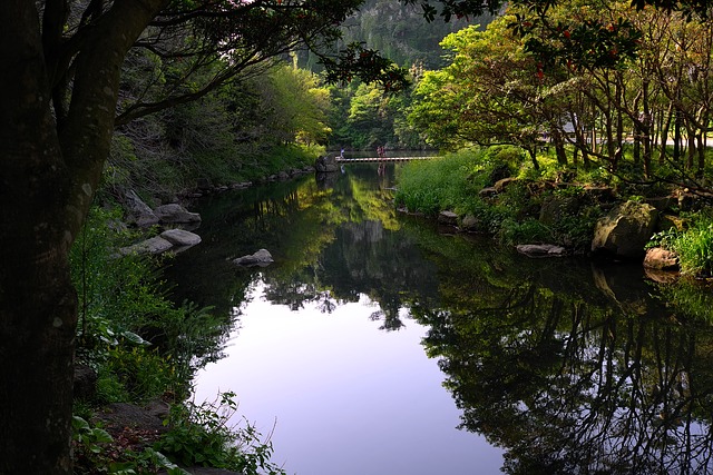 Seonimgyo Bridge