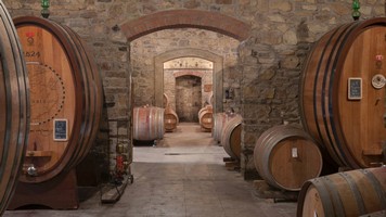 Wine Cellar