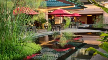 Koi Pond