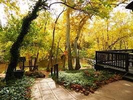 Creekside