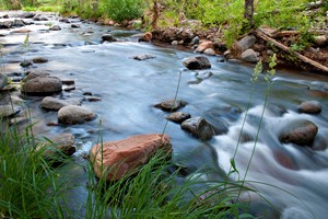 Oak Creek